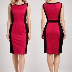 Jessica Pink Black Mesh Panel Sheath Dress Size 12 Bodycon Career Cocktail